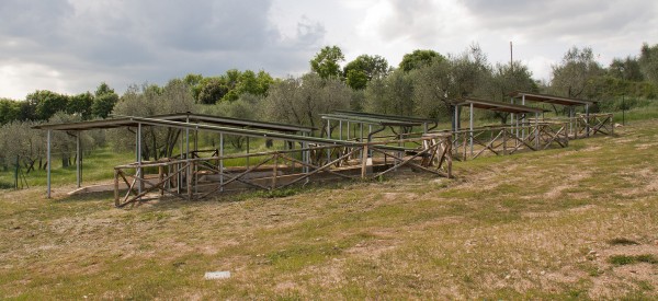 Parco Archeologico di Dometaia