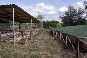 Parco Archeologico di Dometaia