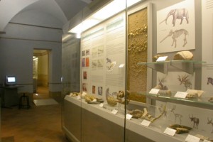 Museo Civico e Diocesano di Fucecchio