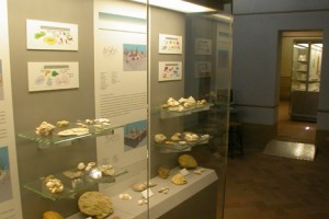 Museo Civico e Diocesano di Fucecchio