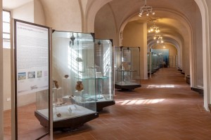 Museo Civico Archeologico della Linguella