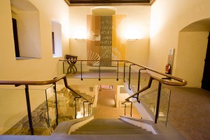 Visite didattiche generali al Museo MAEC