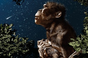 Lucy. Sogno di un'evoluzione
