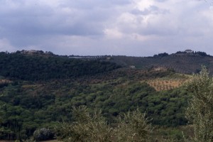 Museo Archeologico di Artimino "Francesco Nicosia"