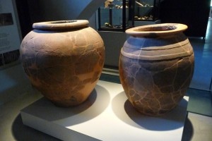 Museo Archeologico di Artimino "Francesco Nicosia"