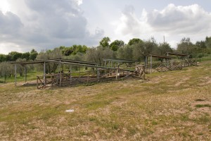 Parco Archeologico di Dometaia