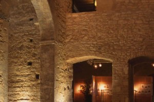 I Parchi e i Musei della Val di Cornia