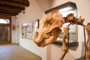 Museo Civico per la Preistoria del Monte Cetona