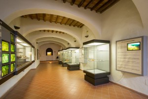 Museo Civico per la Preistoria del Monte Cetona