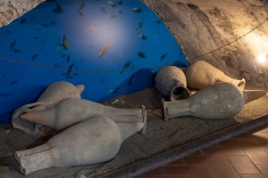 Museo Civico Archeologico della Linguella